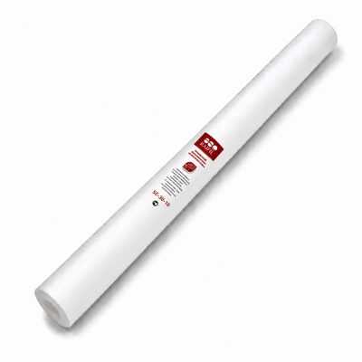 Картридж механической очистки «Raifil SC-30-10» «SL30»